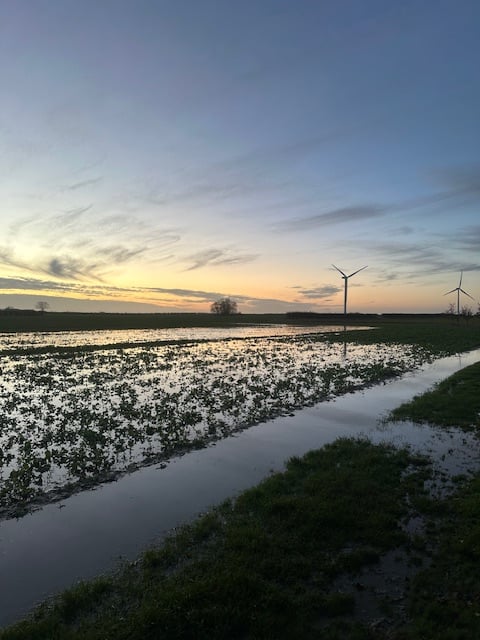 Image: https://us-noi.v-cdn.net/6031891/uploads/editor/di/gu20epu3lk2j.jpeg