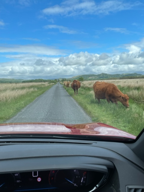 Image: https://us-noi.v-cdn.net/6031891/uploads/editor/dx/721m0ssa5vts.jpg