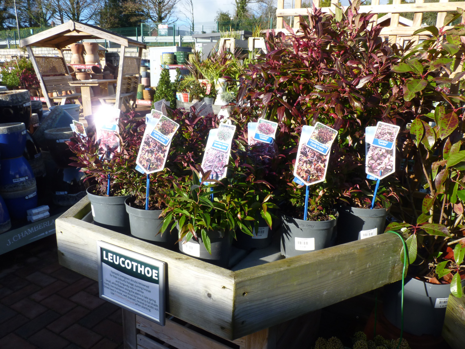 Image: https://us-noi.v-cdn.net/6031891/uploads/editor/e4/kj99pqh9ayrf.jpg