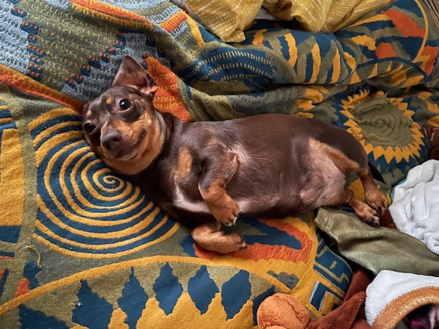 Image: https://us-noi.v-cdn.net/6031891/uploads/editor/f5/g7z1b9ugq2j8.jpeg