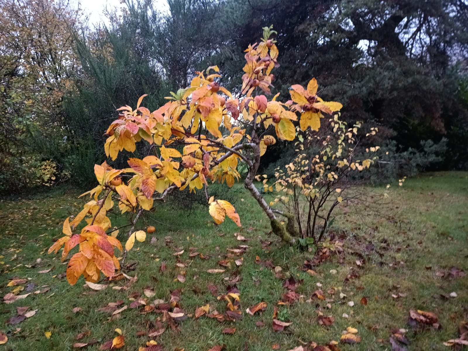 Image: https://us-noi.v-cdn.net/6031891/uploads/editor/f8/yt8fjdu410fi.jpg