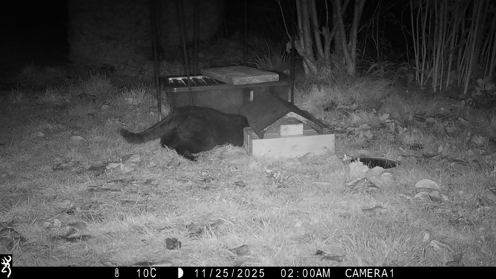 Image: https://us-noi.v-cdn.net/6031891/uploads/editor/fr/vxvmb5lrxu91.jpg