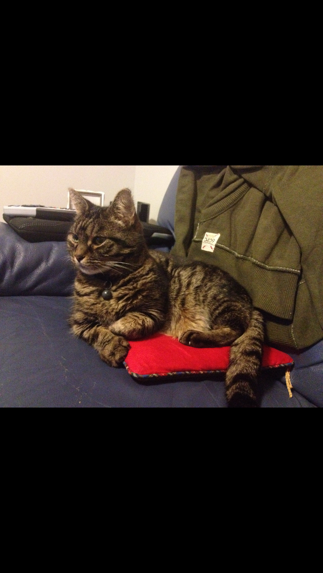 Image: https://us-noi.v-cdn.net/6031891/uploads/editor/g2/v7hei2a5fi9a.png