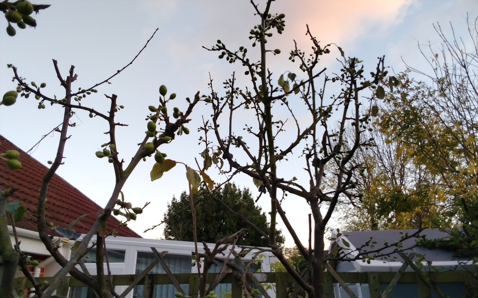 Image: https://us-noi.v-cdn.net/6031891/uploads/editor/gg/h7r2y5stm4wu.jpg