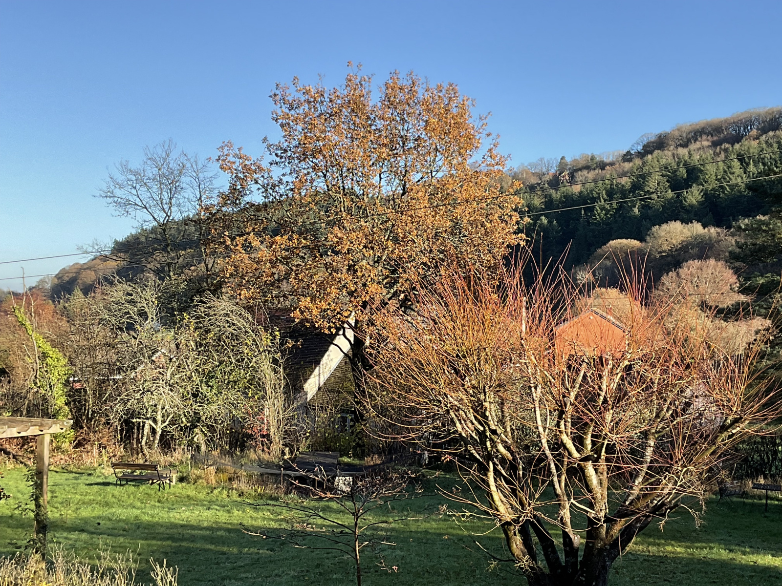 Image: https://us-noi.v-cdn.net/6031891/uploads/editor/gu/2m2ddu9h7dkr.jpeg