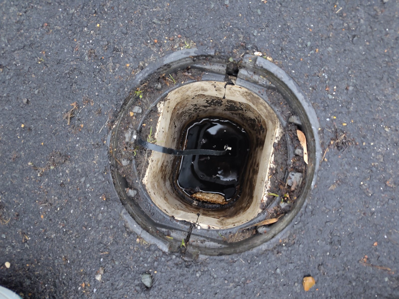 Image: https://us-noi.v-cdn.net/6031891/uploads/editor/hc/k5by5t6rguy4.jpg