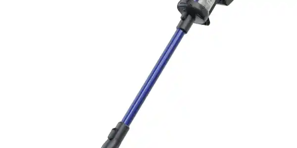 Image: https://us-noi.v-cdn.net/6031891/uploads/editor/hp/zgzyrqu2b1ah.png