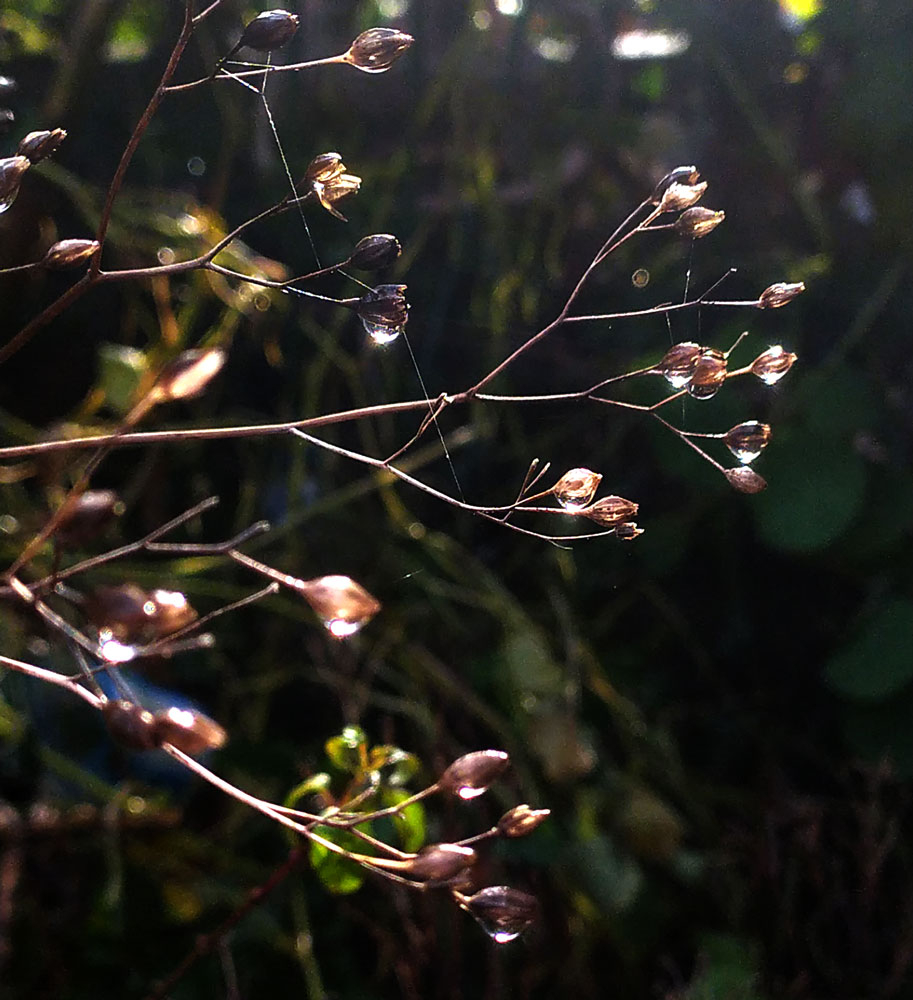 Image: https://us-noi.v-cdn.net/6031891/uploads/editor/i3/w06zeeerfqvm.jpg