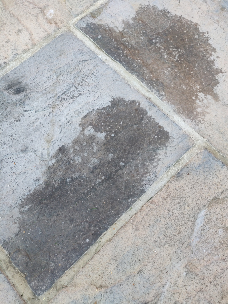 Image: https://us-noi.v-cdn.net/6031891/uploads/editor/i9/o1i3ikl6p0re.jpg