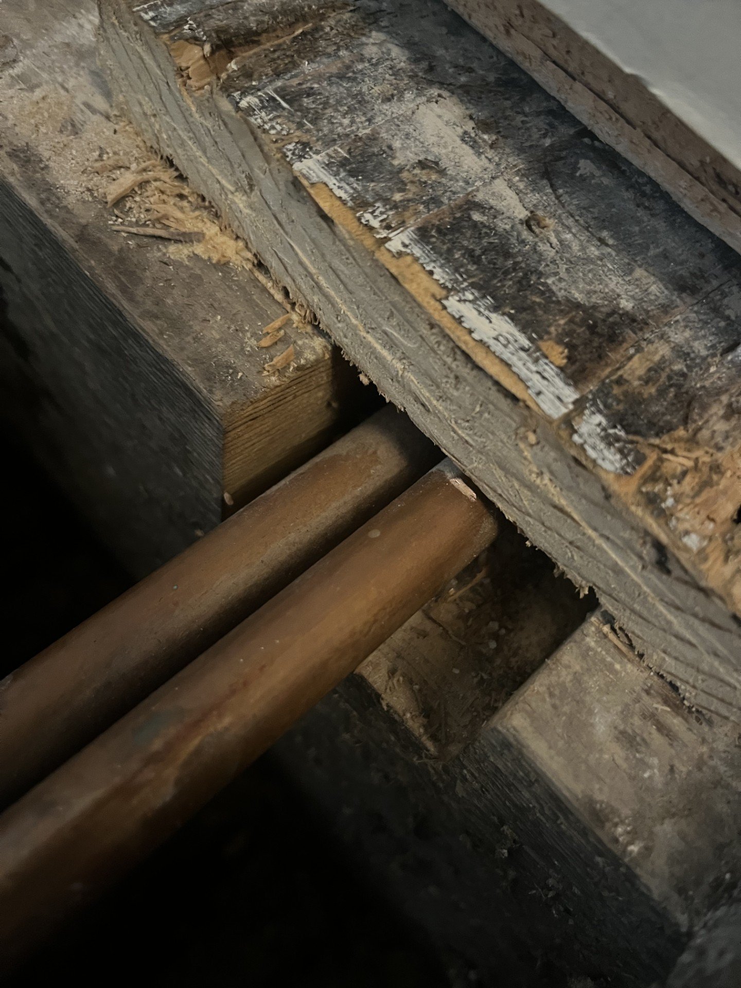 Image: https://us-noi.v-cdn.net/6031891/uploads/editor/if/o04lklreikow.jpg