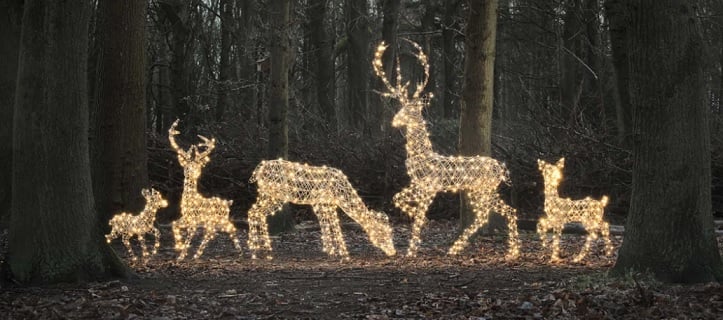 Image: https://us-noi.v-cdn.net/6031891/uploads/editor/jb/5ka5rr0kxeqt.jpg