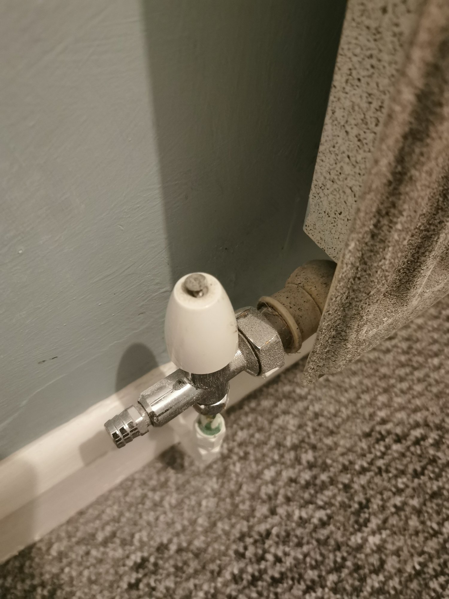 Single radiator not heating up — MoneySavingExpert Forum