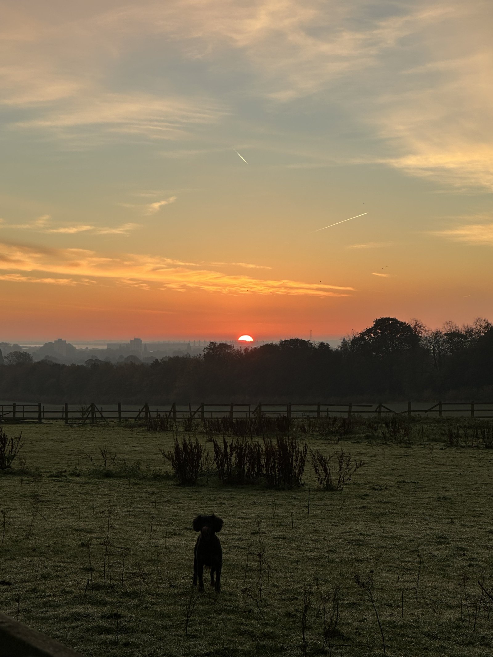 Image: https://us-noi.v-cdn.net/6031891/uploads/editor/js/mqhhqrwyyl4s.jpeg