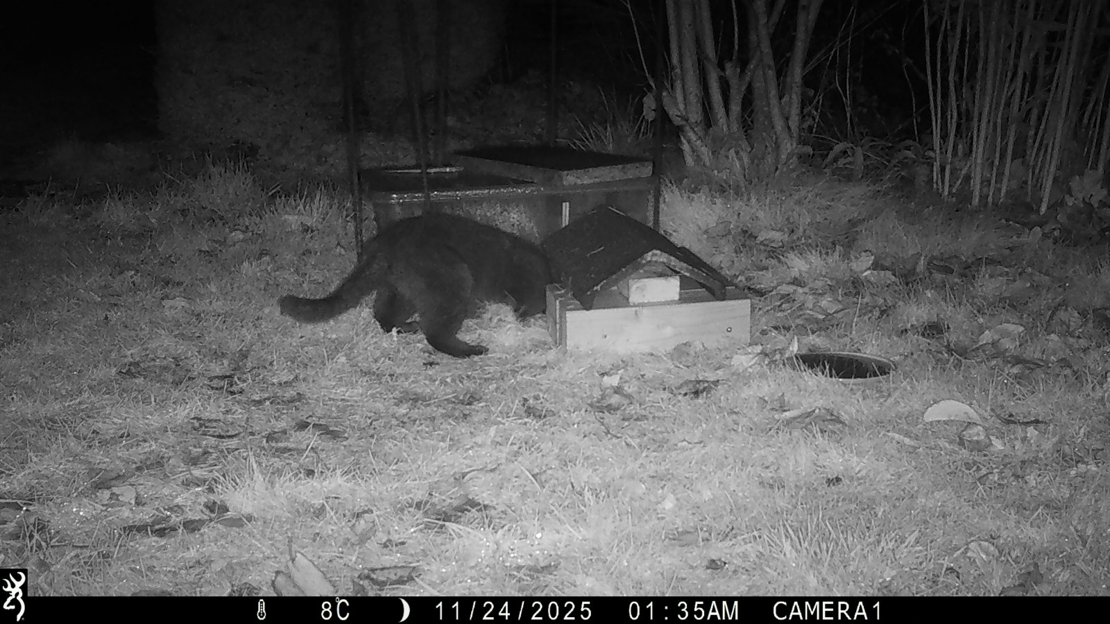 Image: https://us-noi.v-cdn.net/6031891/uploads/editor/kk/xzuxncdgrtd6.jpg