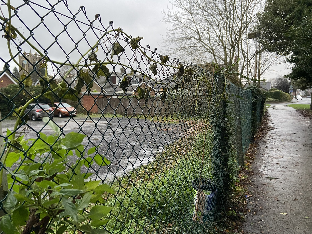 Image: https://us-noi.v-cdn.net/6031891/uploads/editor/kq/1ib5zn4pwdvg.jpeg