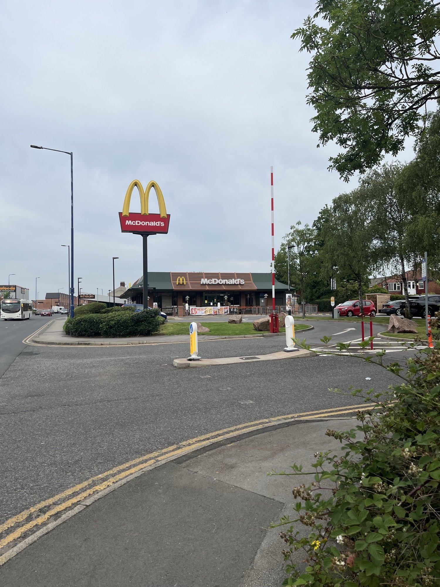 Image: https://us-noi.v-cdn.net/6031891/uploads/editor/ly/fx1hqslh93g5.jpeg