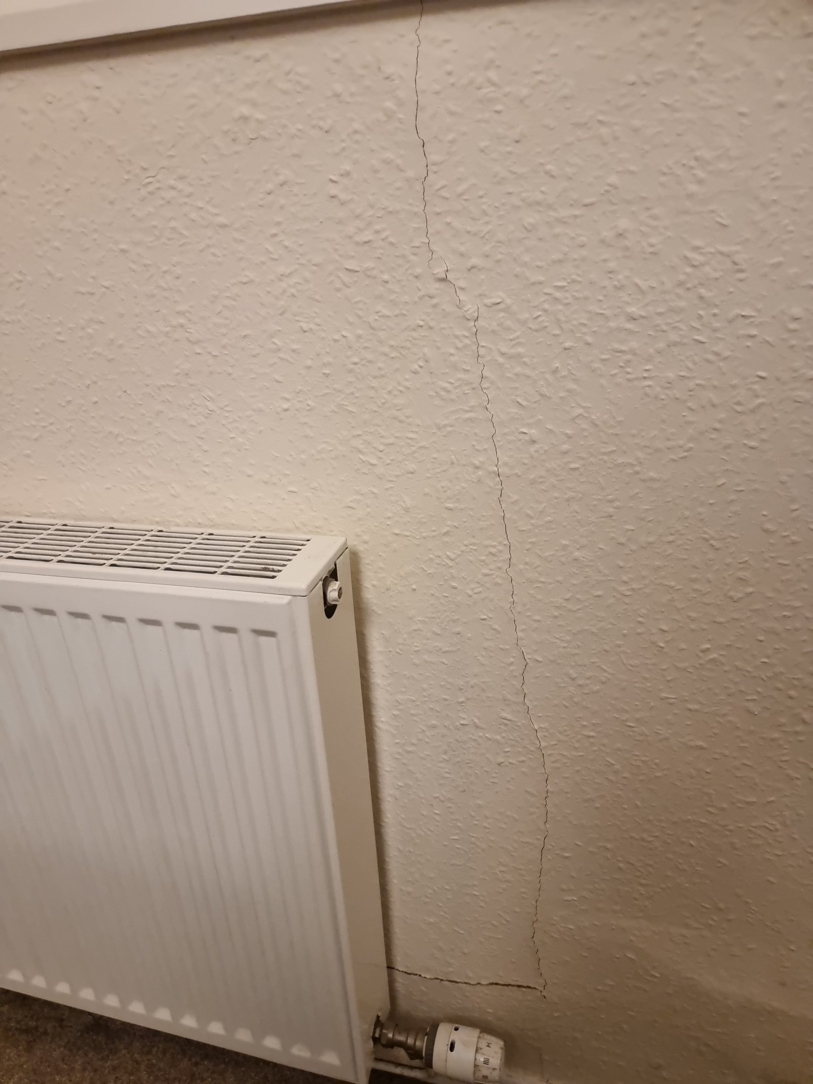 Image: https://us-noi.v-cdn.net/6031891/uploads/editor/mw/tck2oh659kbe.jpg