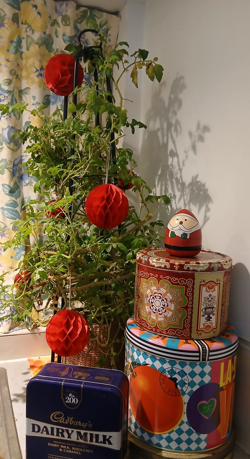 Image: https://us-noi.v-cdn.net/6031891/uploads/editor/nc/e122596i4spm.jpg