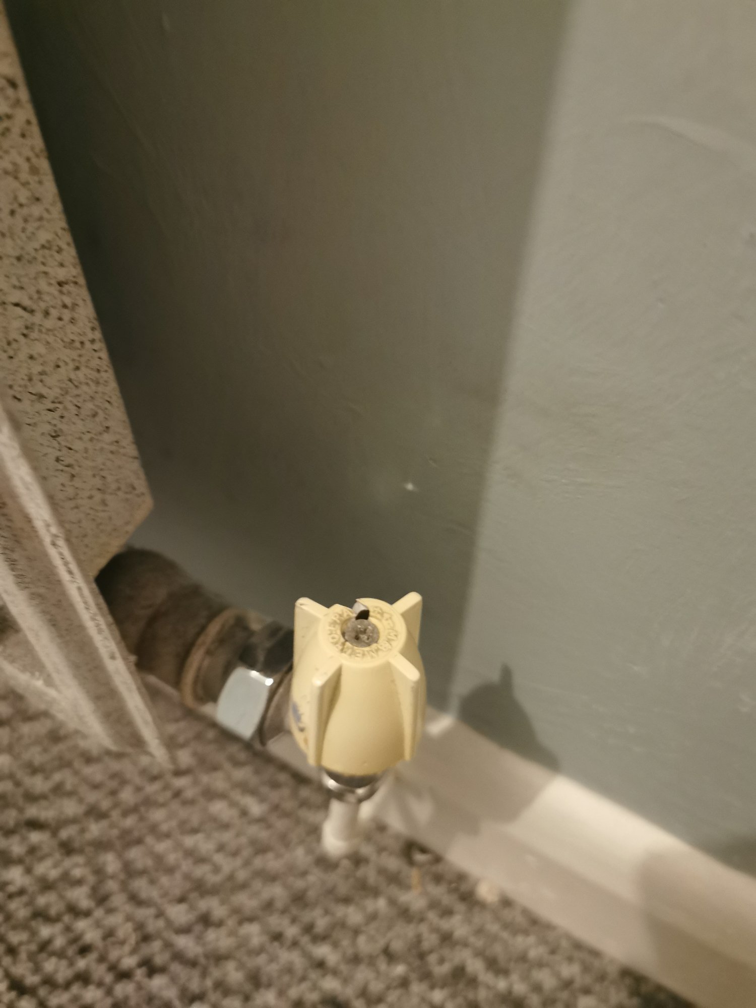 Single radiator not heating up — MoneySavingExpert Forum