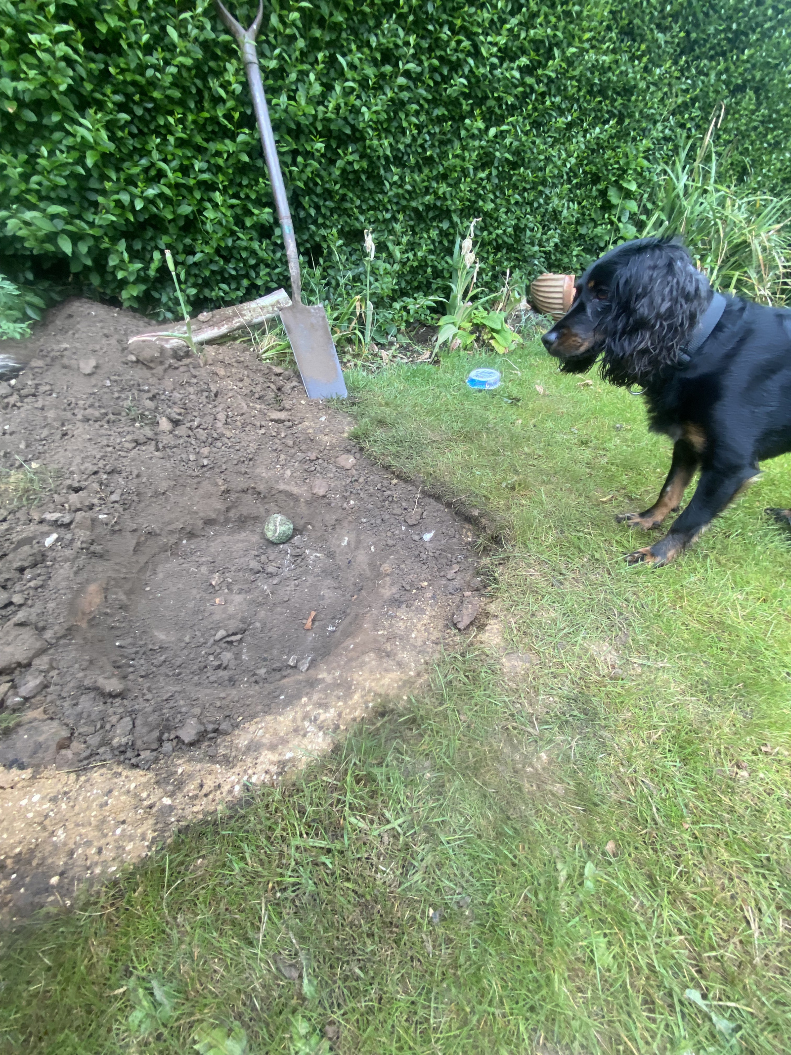 Image: https://us-noi.v-cdn.net/6031891/uploads/editor/o0/sd1eiv92vko1.jpeg