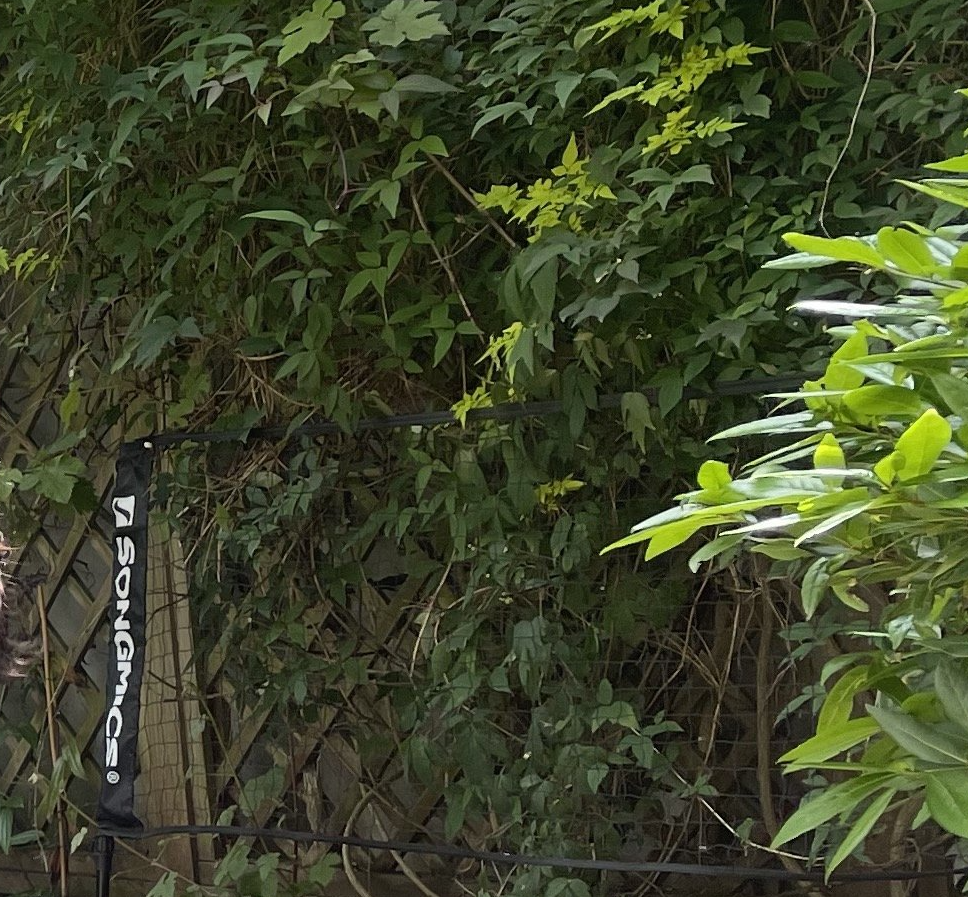 Image: https://us-noi.v-cdn.net/6031891/uploads/editor/p2/78egudz3yulx.png