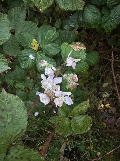 Image: https://us-noi.v-cdn.net/6031891/uploads/editor/p8/23e87q5p3nku.jpeg