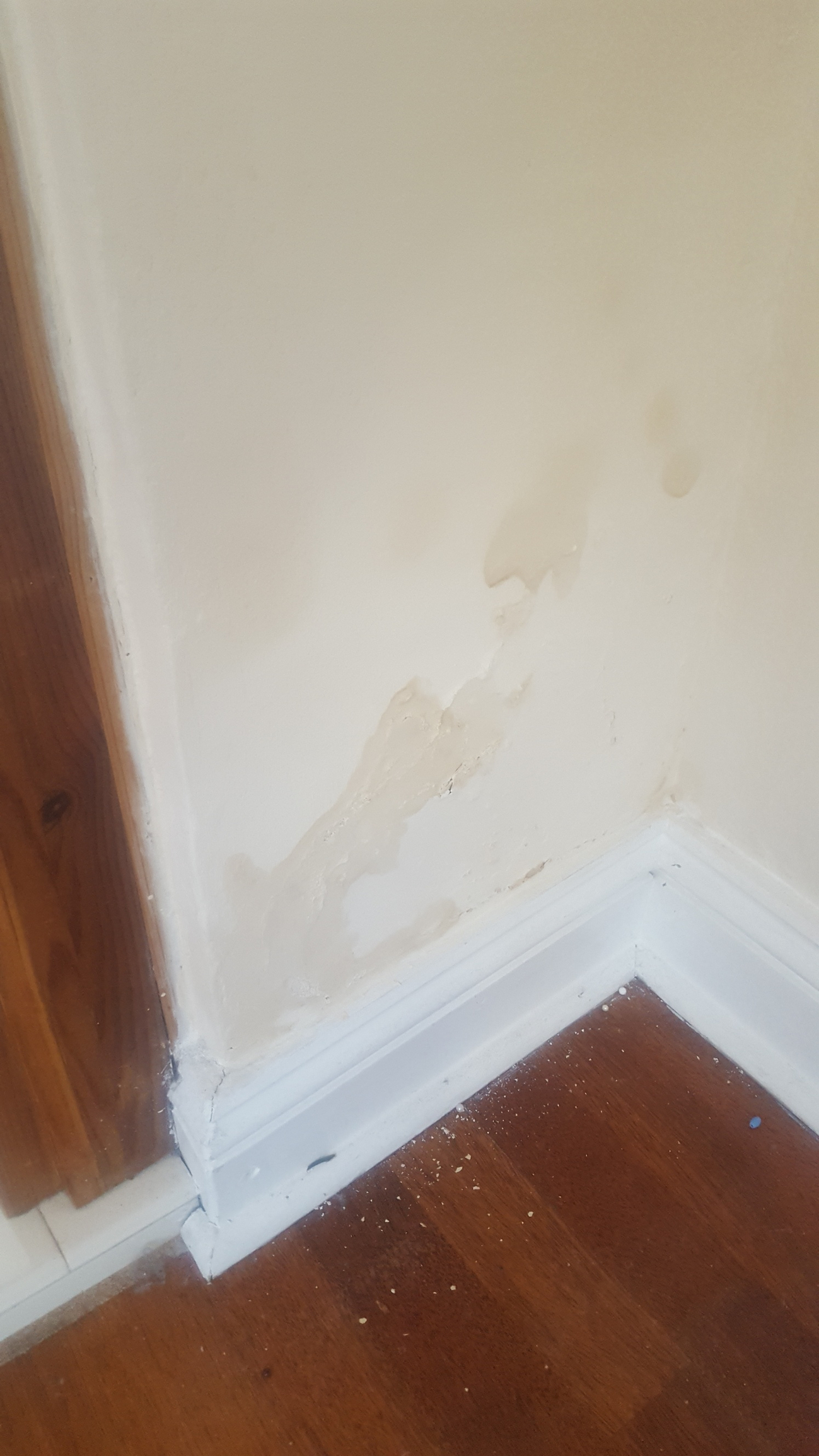 Wet patches — MoneySavingExpert Forum