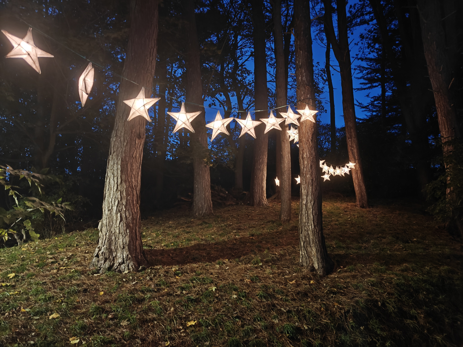 Image: https://us-noi.v-cdn.net/6031891/uploads/editor/rg/8tknlkr4qlzy.jpg