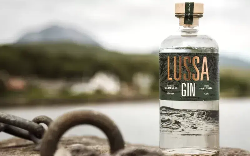 Image: https://us-noi.v-cdn.net/6031891/uploads/editor/ro/zpukrumqehvq.png