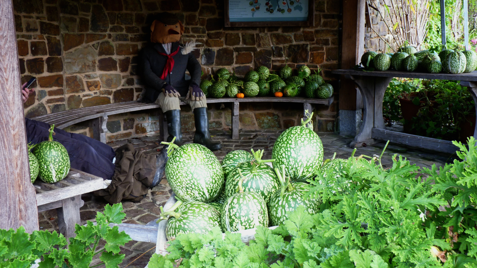 Image: https://us-noi.v-cdn.net/6031891/uploads/editor/rz/0za628u9cb6u.jpg