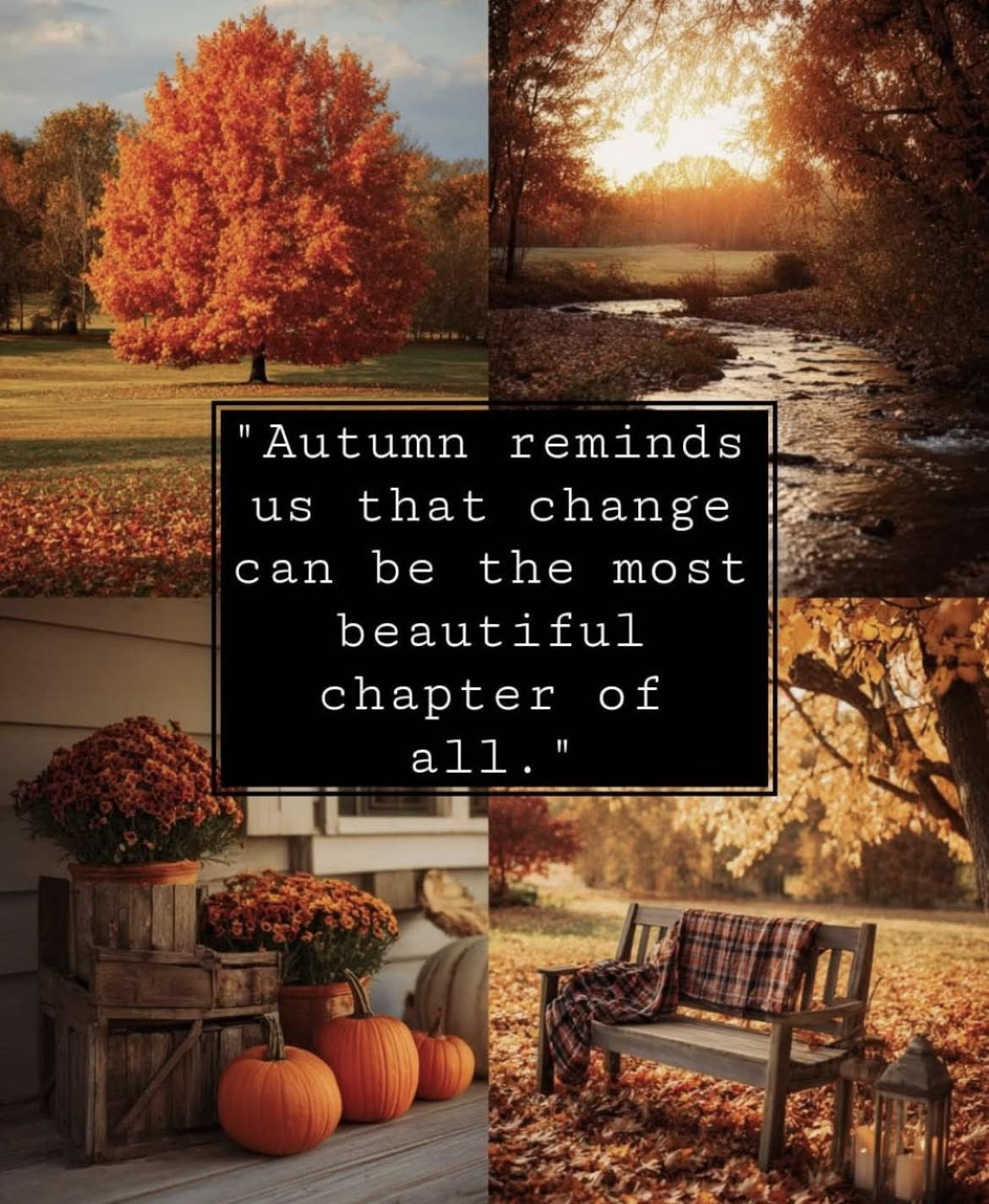 Image: https://us-noi.v-cdn.net/6031891/uploads/editor/sw/5ah3w9vszuan.jpg