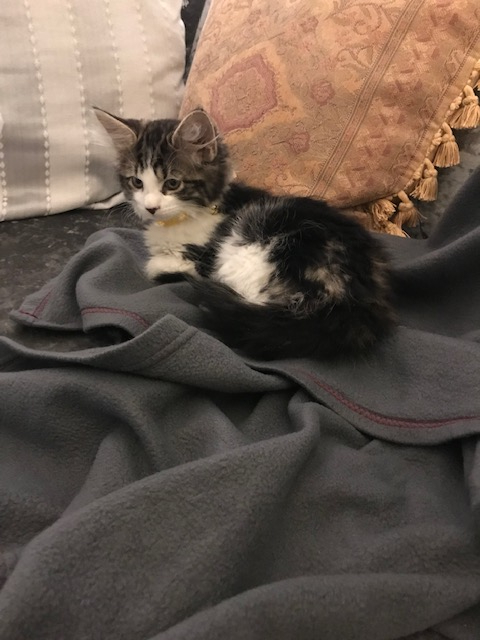 Image: https://us-noi.v-cdn.net/6031891/uploads/editor/sz/yw39pc2xgjkc.jpg