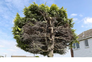 Image: https://us-noi.v-cdn.net/6031891/uploads/editor/t2/e0m1xn5e31s4.jpg