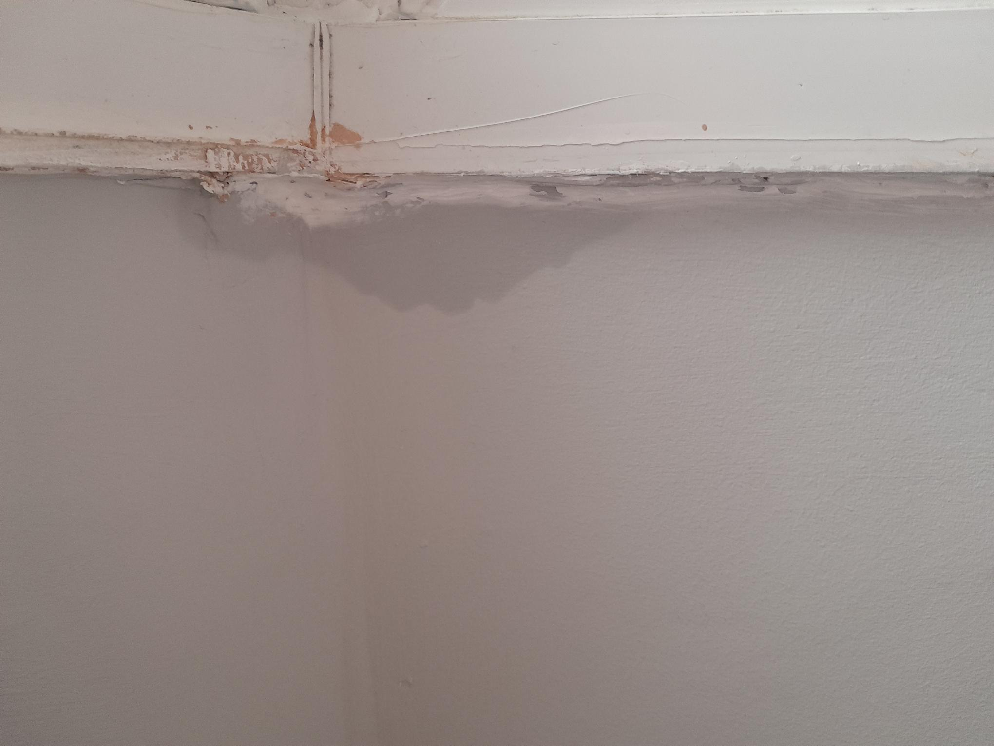 Damp under bay window — MoneySavingExpert Forum