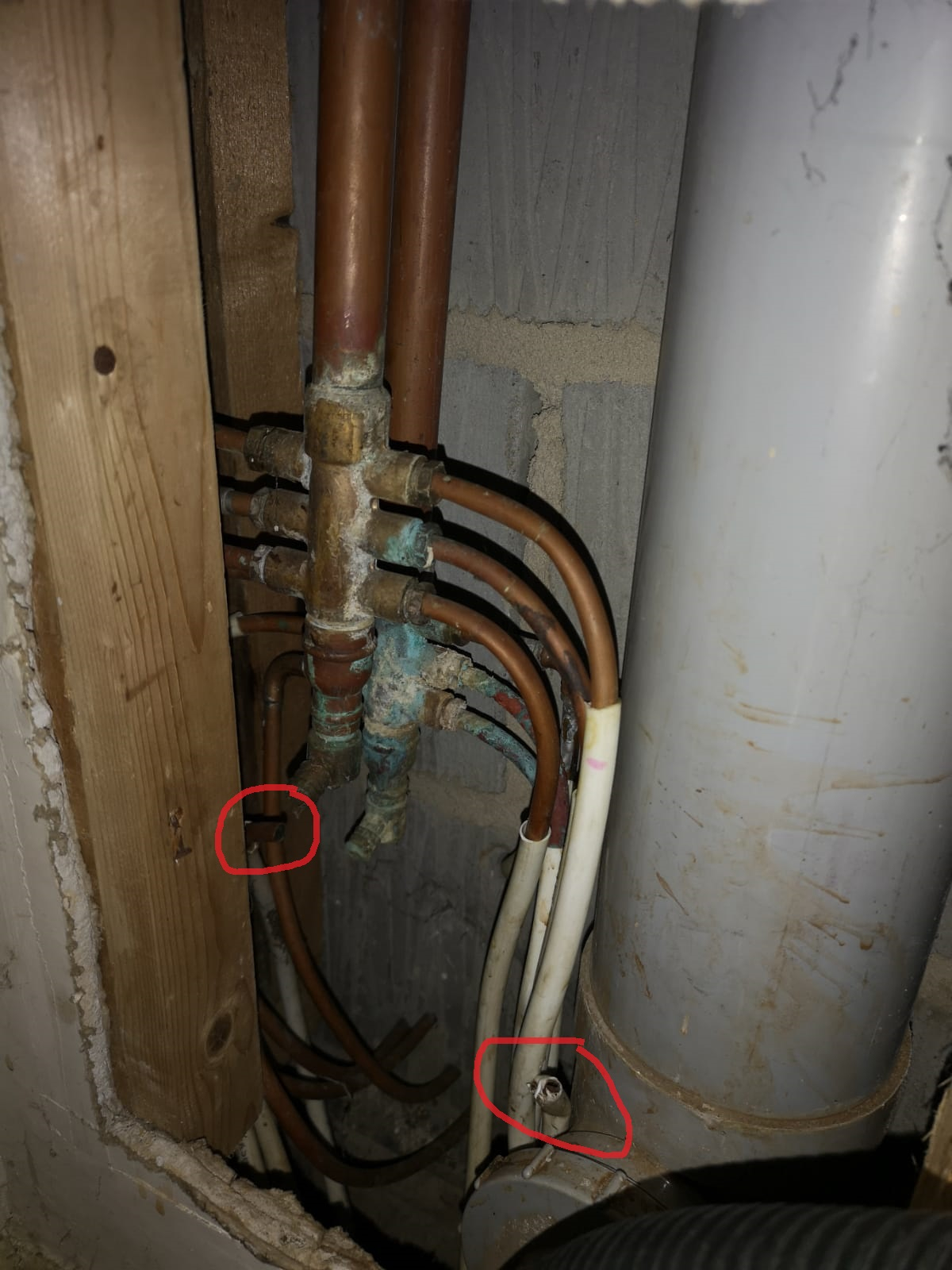 Image: https://us-noi.v-cdn.net/6031891/uploads/editor/tl/p4fpvlljrbu8.jpg