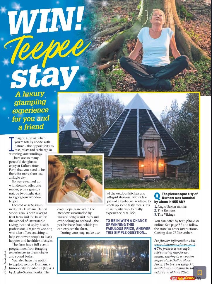 Image: https://us-noi.v-cdn.net/6031891/uploads/editor/tp/819iagk7qew4.jpg