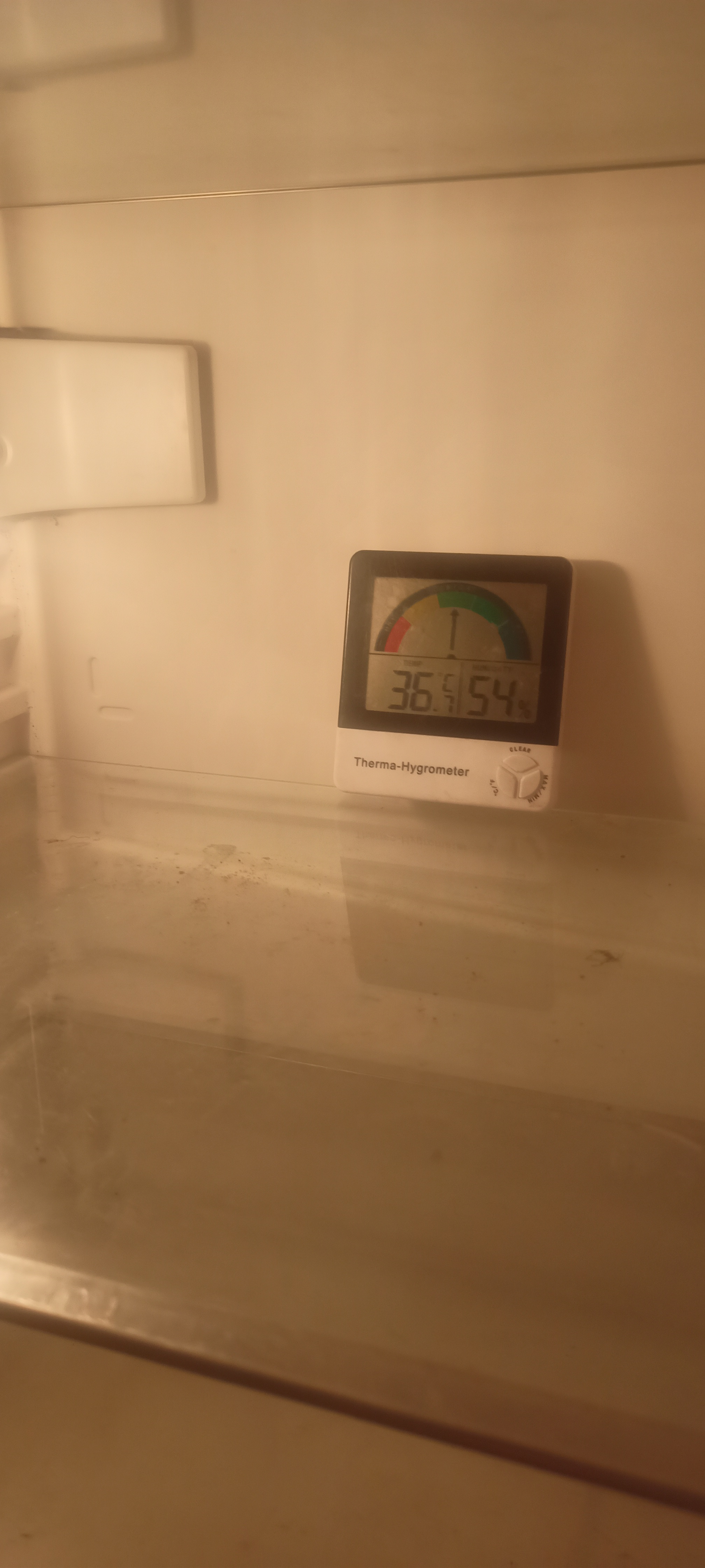 Image: https://us-noi.v-cdn.net/6031891/uploads/editor/tz/qcqbl3ou52wo.jpg