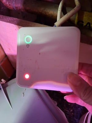 Image: https://us-noi.v-cdn.net/6031891/uploads/editor/uo/4lwzzio442ah.jpg