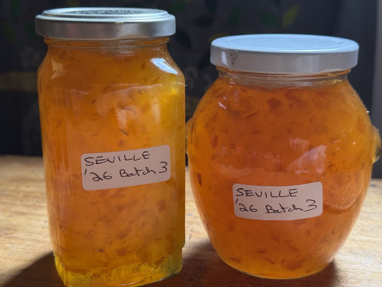 Image: https://us-noi.v-cdn.net/6031891/uploads/editor/ux/5b90coz5osnp.jpg