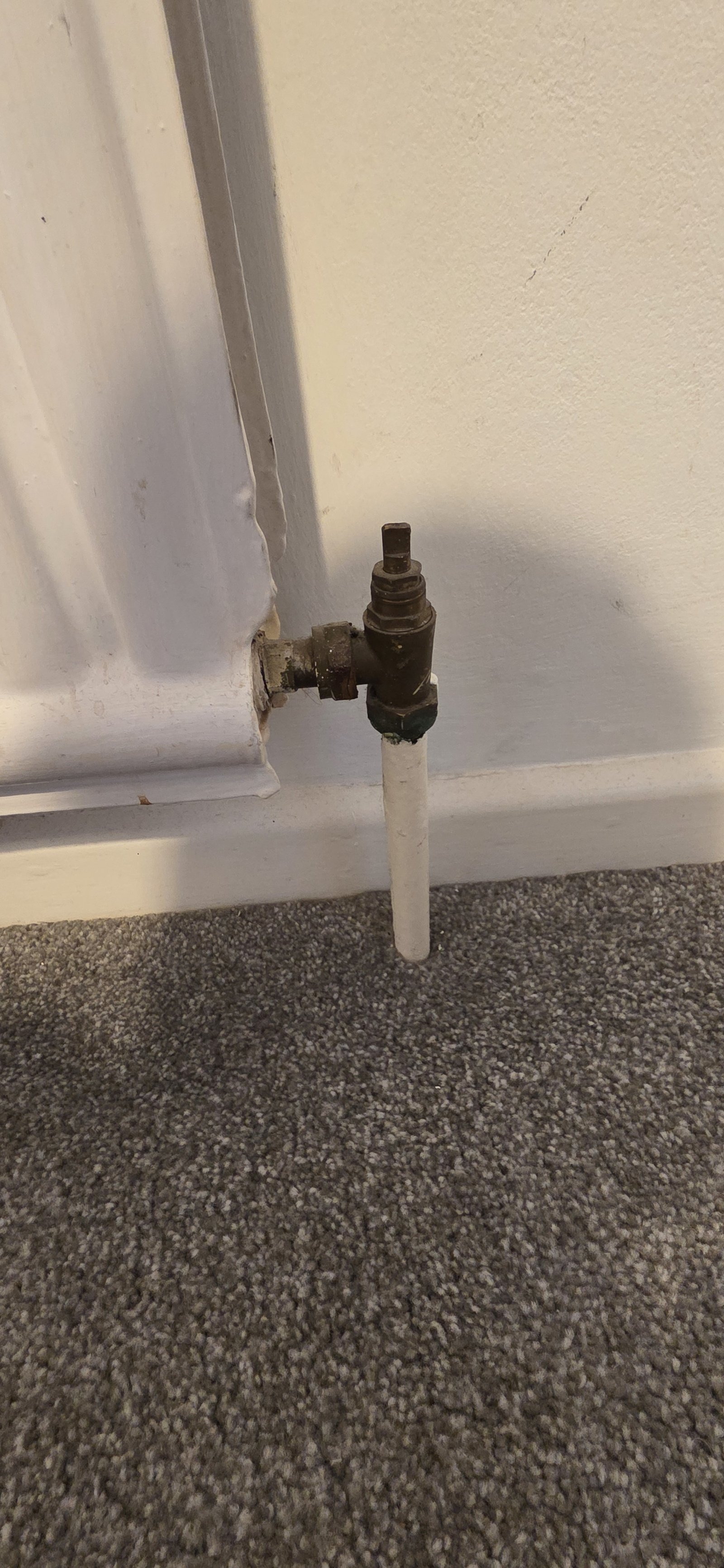 Image: https://us-noi.v-cdn.net/6031891/uploads/editor/vd/hvtuceczw9q0.jpg