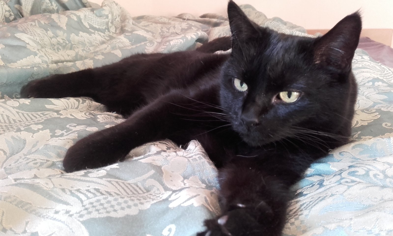 Image: https://us-noi.v-cdn.net/6031891/uploads/editor/vg/zda4ut574gt9.jpeg