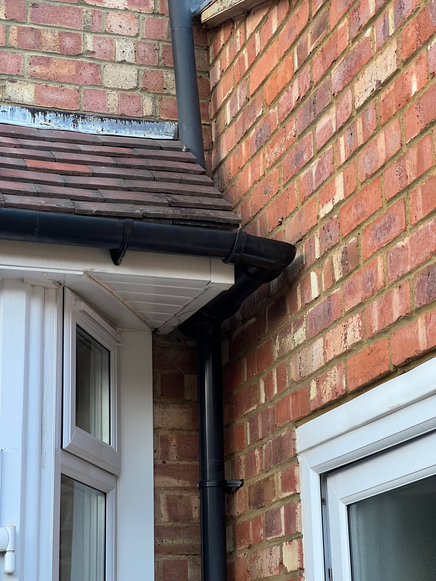 Image: https://us-noi.v-cdn.net/6031891/uploads/editor/vu/hwl45154w2zt.jpg