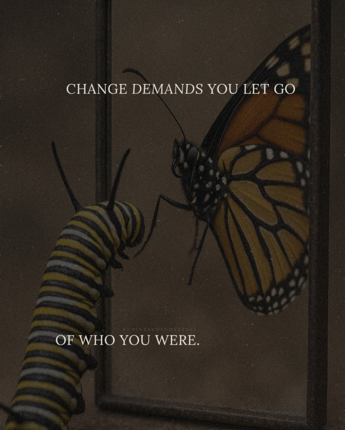 Image: https://us-noi.v-cdn.net/6031891/uploads/editor/w0/zqu6cb3f6cxc.jpg