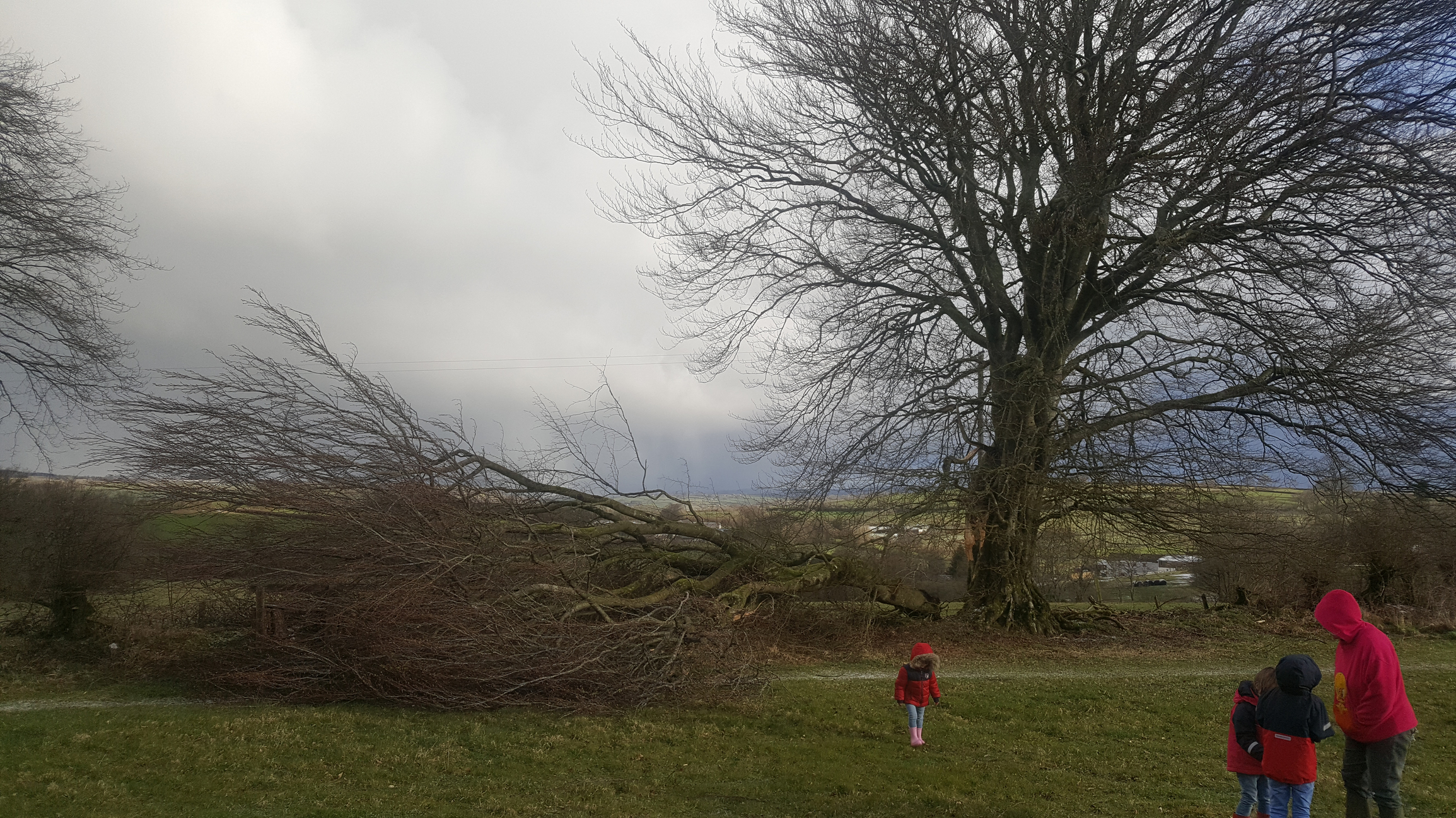 Image: https://us-noi.v-cdn.net/6031891/uploads/editor/wx/la2czkwj4x47.jpg