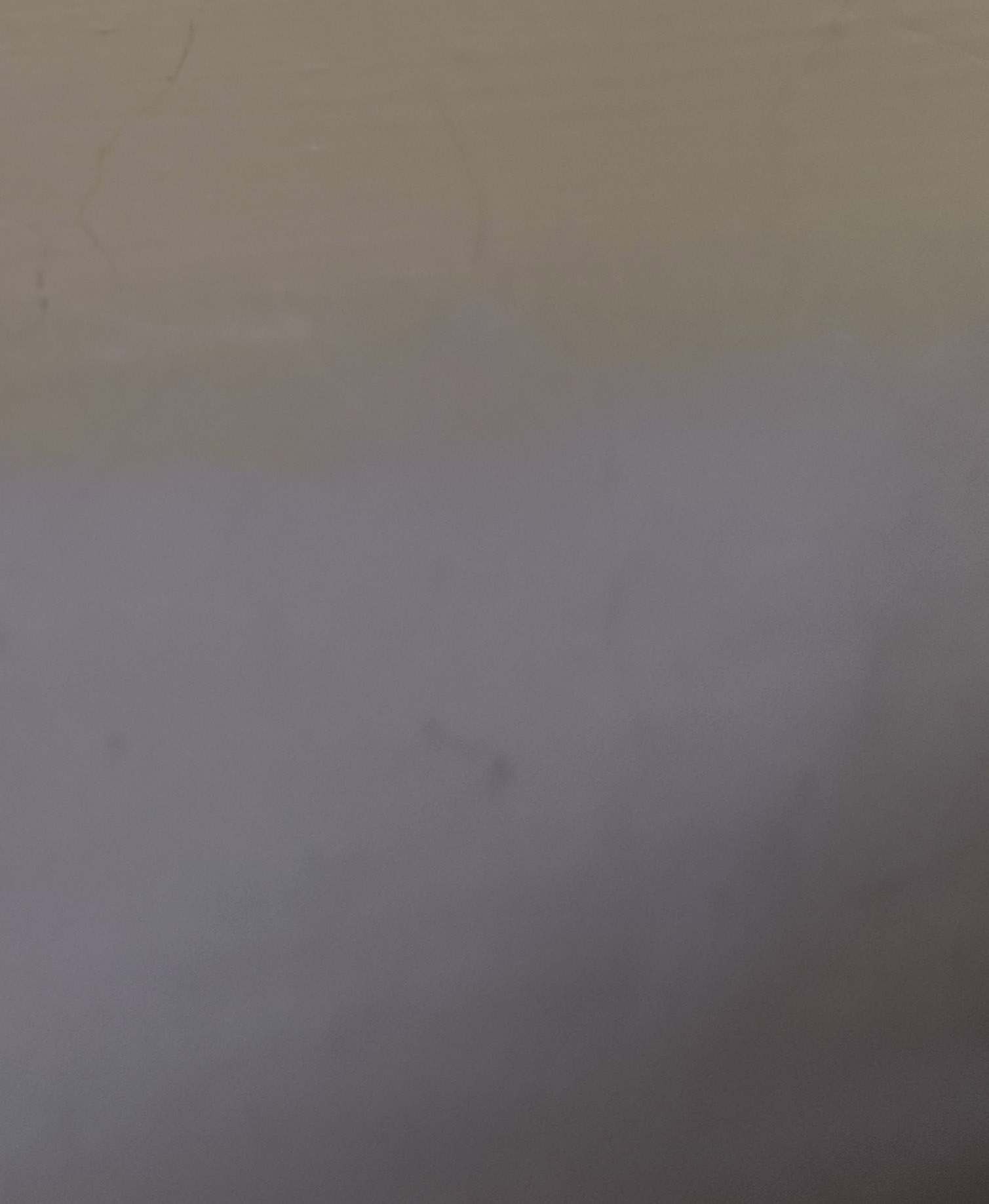 Image: https://us-noi.v-cdn.net/6031891/uploads/editor/x3/4grzdu431nym.jpg