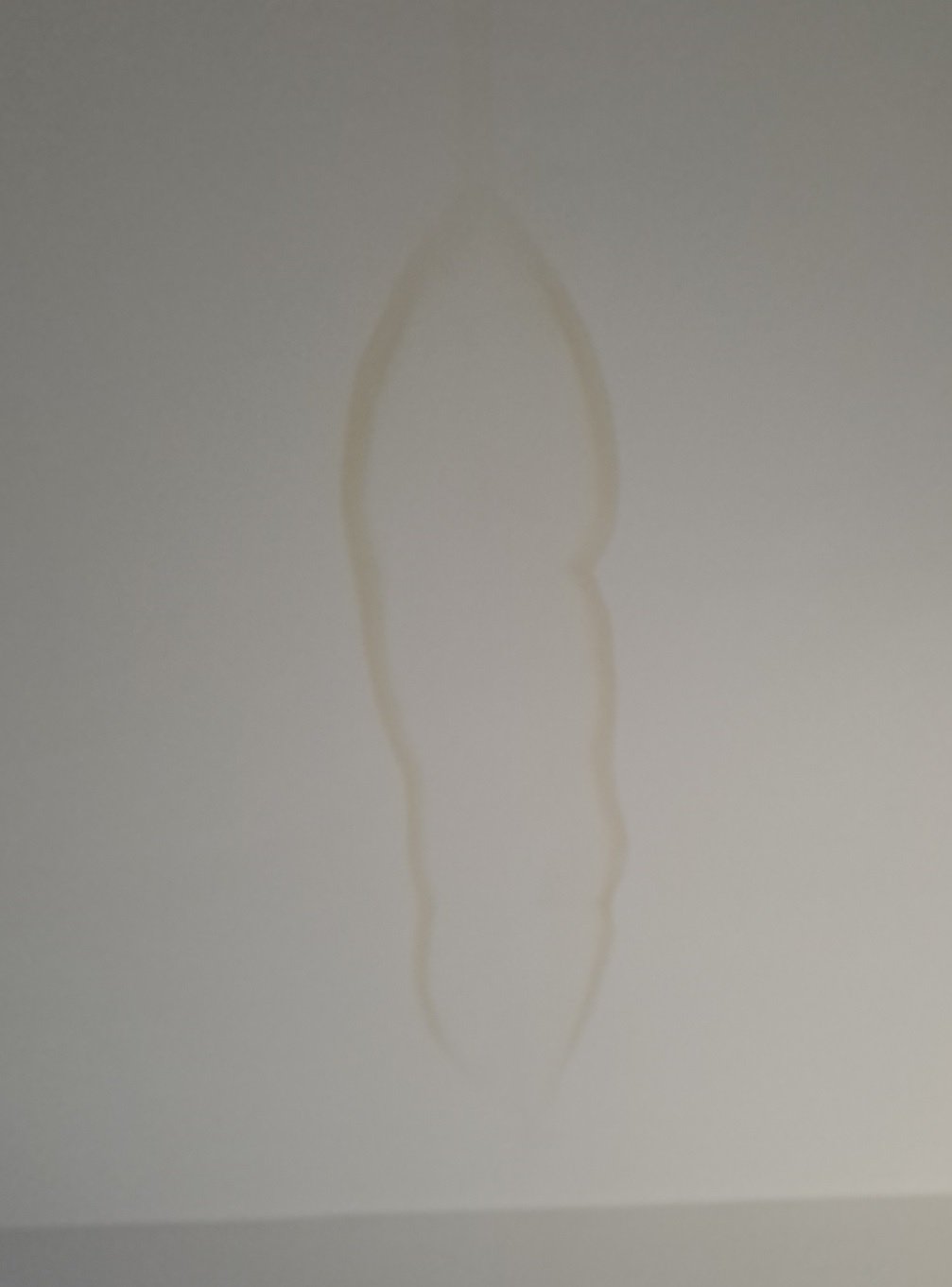 Image: https://us-noi.v-cdn.net/6031891/uploads/editor/xf/wgkua12dpinr.jpg