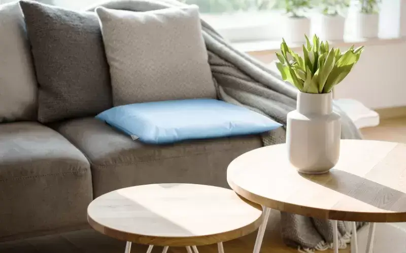 Image: https://us-noi.v-cdn.net/6031891/uploads/editor/xi/9oskgbd1vpmz.png