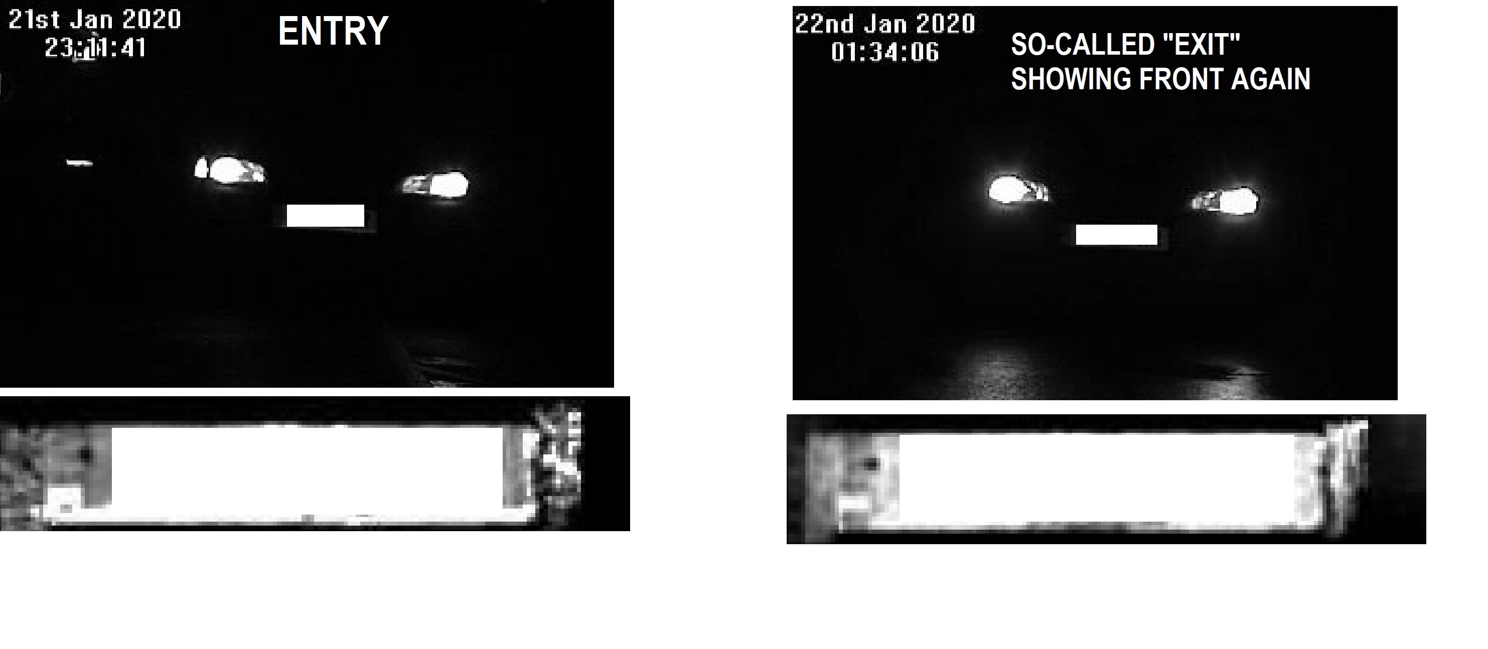 Image: https://us-noi.v-cdn.net/6031891/uploads/editor/y6/tri9at20z1fn.jpg