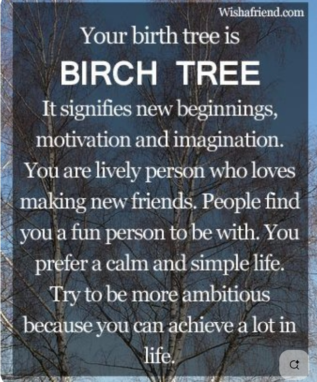 Image: https://us-noi.v-cdn.net/6031891/uploads/editor/yc/1odlsf47buw4.jpg