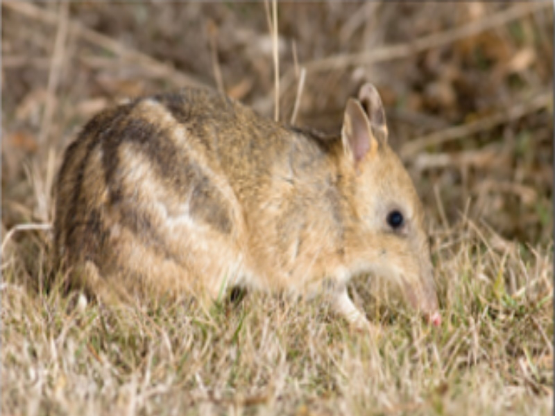 Image: https://us-noi.v-cdn.net/6031891/uploads/editor/yd/91lnem78sp72.jpg